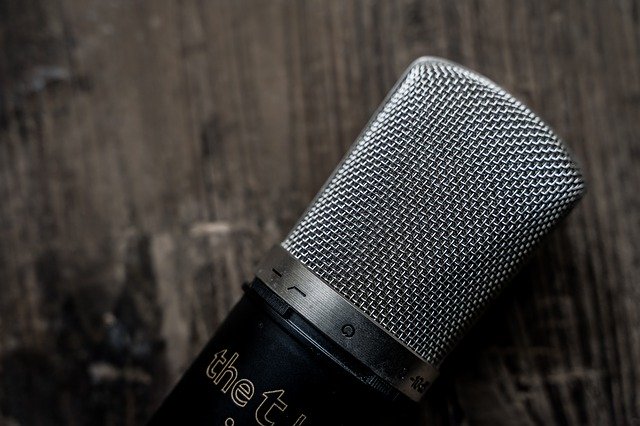 Ceniza pueblo Intervenir Los mejores micrófonos de condensador para locutores